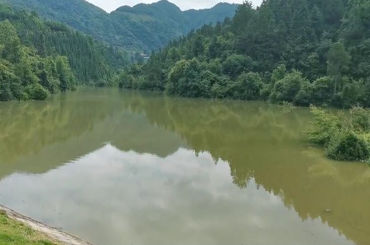 �˷���Ϸ��(�й�)����